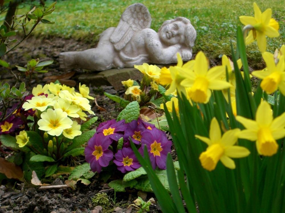 Hotel Haus Am Park Bad Homburg vor der Hoehe Ngoại thất bức ảnh